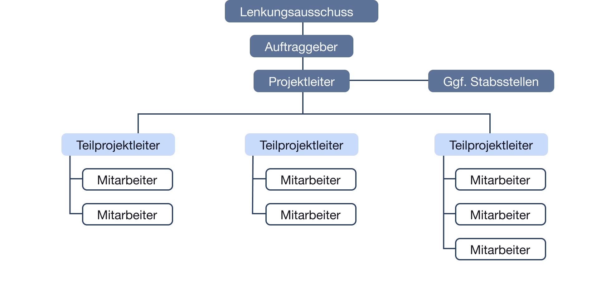 Das Projektorganigramm