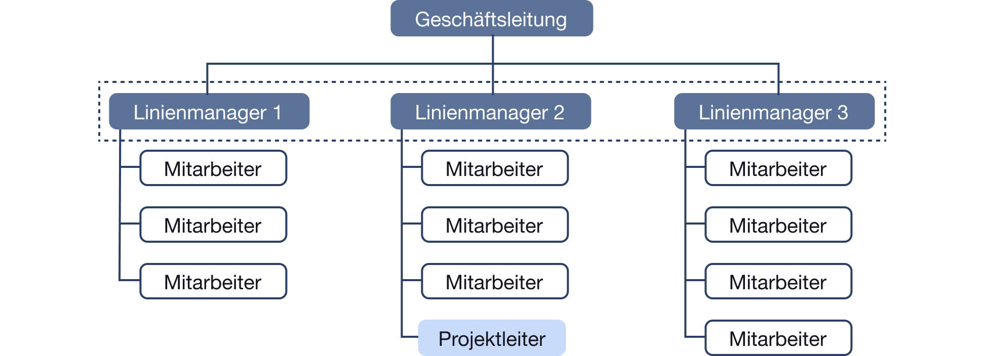 Linienbasierte Projektorganisation
