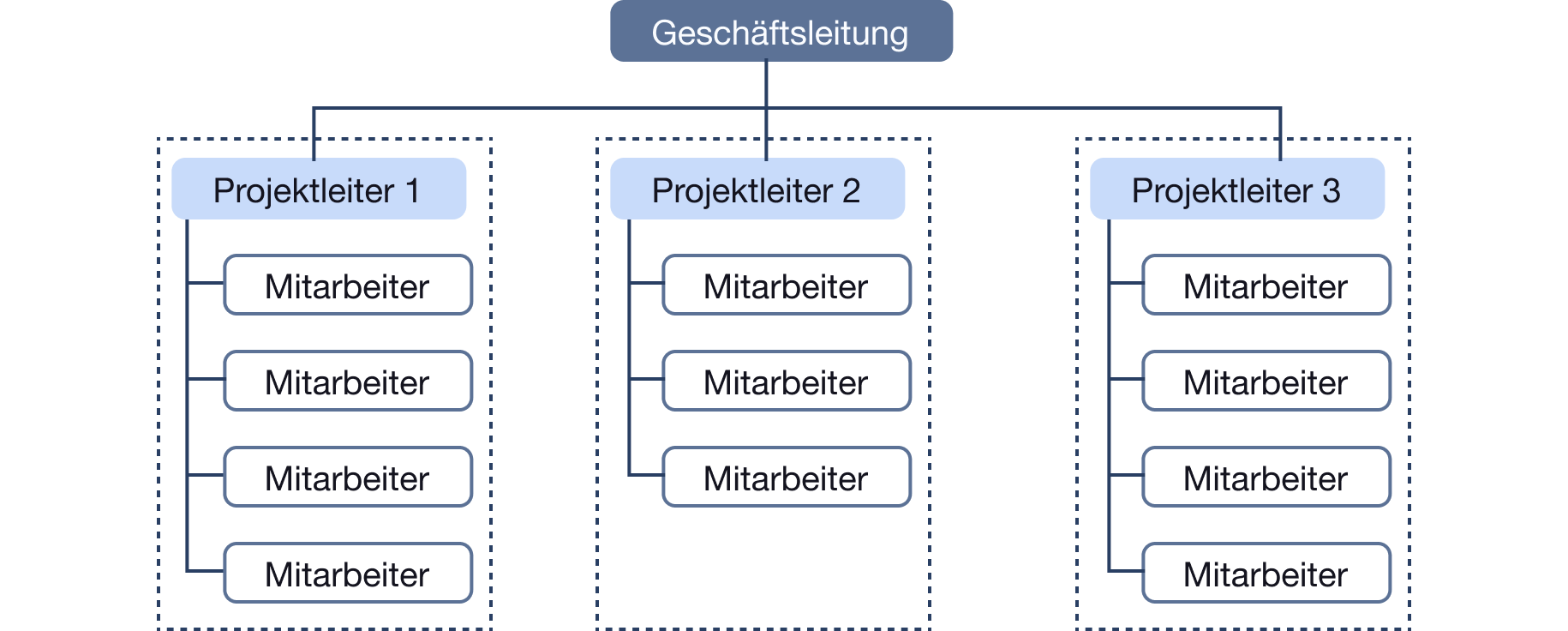 Reine Projektorganisation