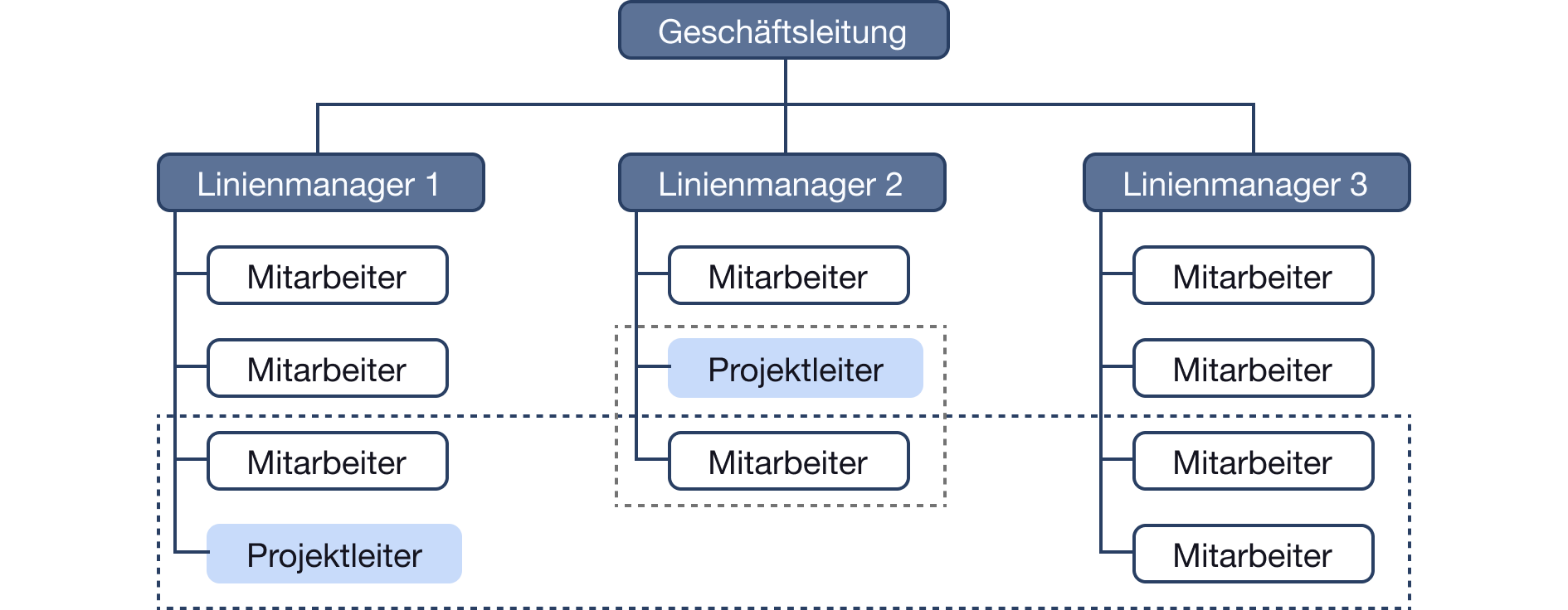 Matrix-Projektorganisation