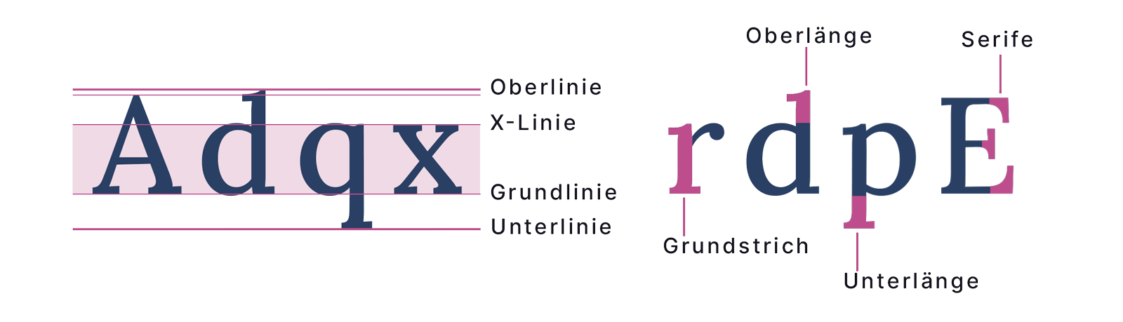Schriftart: Oberlinie und Unterlinie. Oberlänge, Unterlänge und Serife